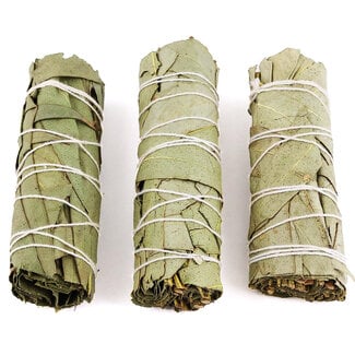 Sage - Smudge Sticks 4" - Clear The Energy In Your Space And Ora - 3 for $9.99