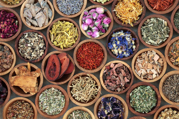 HERBS, ROOTS AND BERRIES